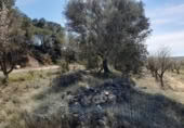 Terreno no urbanizable en venta en la España, Batea, ref: TR129869 foto
