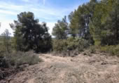 Terreno no urbanizable en venta en la España, Batea, ref: TR129869 foto