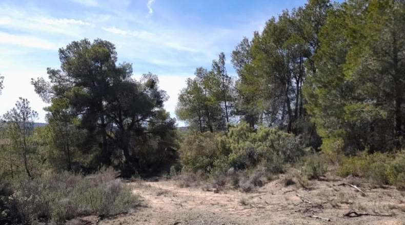 Tarragona - Batea - 14380m2