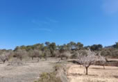 Terreno no urbanizable en venta en la España, Batea, ref: TR129869 foto
