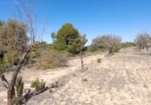 Terreno no urbanizable en venta en la España, Batea, ref: TR129869 foto