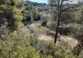 Terreno no urbanizable en venta en la España, Batea, ref: TR129869 foto