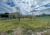 Non-developable land for sale on España, O Porriño, ref: TR170818 photo