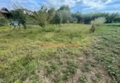Non-developable land for sale on España, O Porriño, ref: TR170818 photo