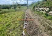 Non-developable land for sale on España, O Porriño, ref: TR170818 photo