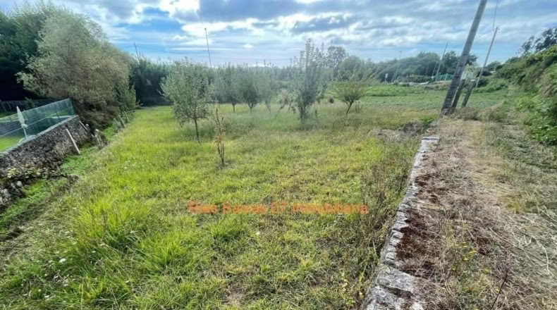 Pontevedra - Porriño - 1181m2