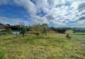 Non-developable land for sale on España, O Porriño, ref: TR170818 photo