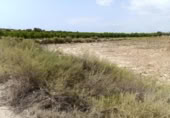 Parcel·la urbanitzable en venda a la España, Elx, ref.: TR131935 foto