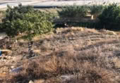 Terreny no urbanitzable en venda a la España, Adra, ref.: TR125124 foto