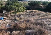 Terreny no urbanitzable en venda a la España, Adra, ref.: TR125124 foto