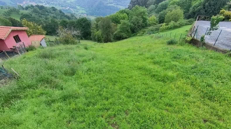 Asturias - Carranques - 953m2