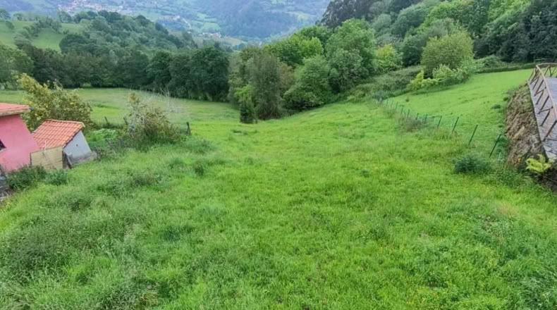Asturias - Carranques - 953m2