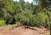 Non-developable land for sale on España, Castellnou de Bages, ref: TR306772 photo