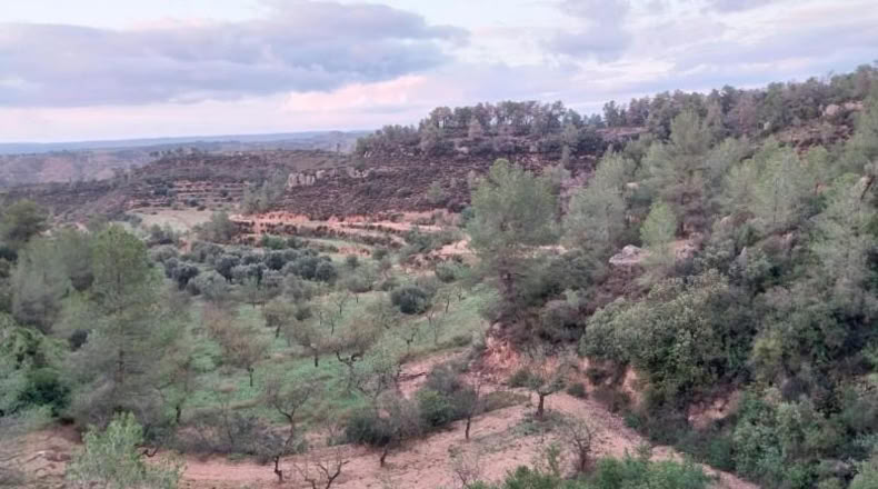 Tarragona - la Torre de l'Espanyol - 72169m2