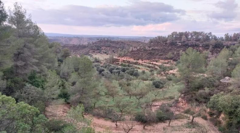 Tarragona - la Torre de l'Espanyol - 72169m2