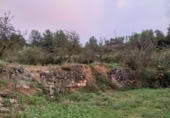 Terreny no urbanitzable en venda a la España, la Torre de l'Espanyol, ref.: TR179505 foto