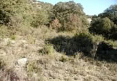 Sòl urbà en venda a la España, Fuentenovilla, ref.: TR339048 foto