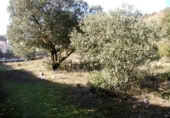 Sòl urbà en venda a la España, Fuentenovilla, ref.: TR339048 foto