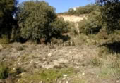 Sòl urbà en venda a la España, Fuentenovilla, ref.: TR339048 foto