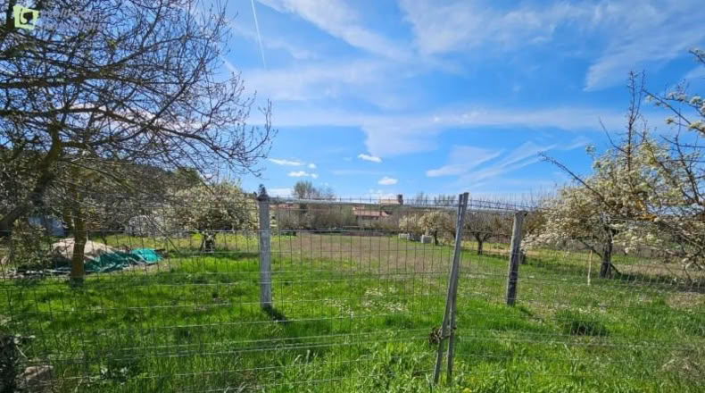 Burgos - Modúbar de la Emparedada - 500m2
