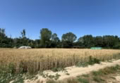 Terreny no urbanitzable en venda a la España, Urroz-Villa, ref.: TR248177 foto