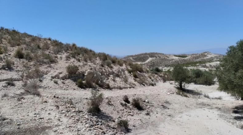 Murcia - Molina de Segura - 13416m2