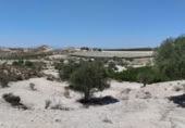 Terreno no urbanizable en venta en la España, Molina de Segura, ref: TR248178 foto