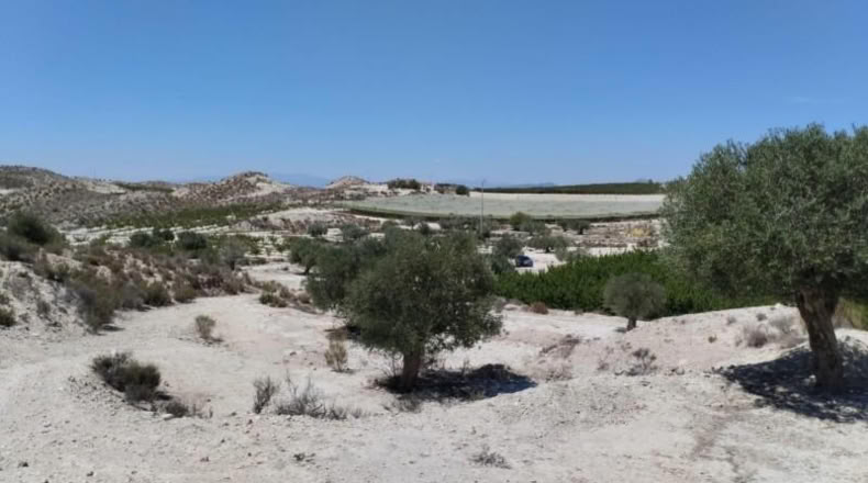 Murcia - Molina de Segura - 13416m2