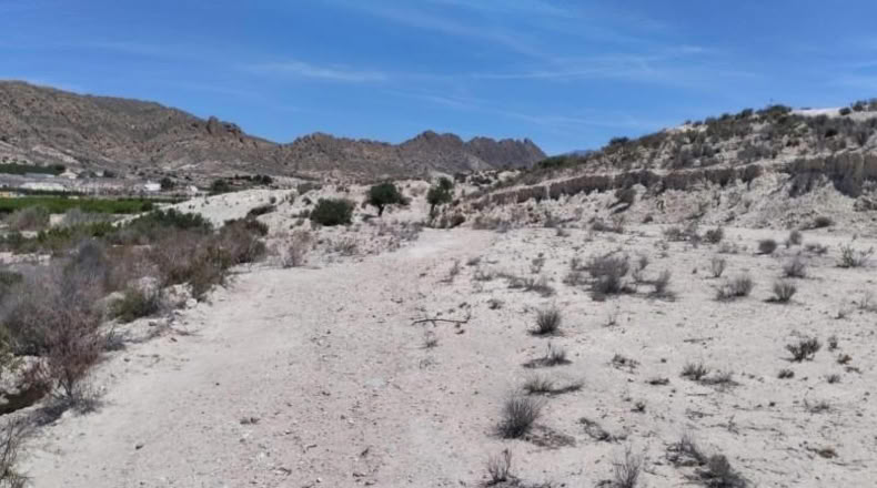 Murcia - Molina de Segura - 13416m2