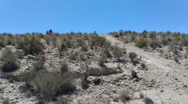 Murcia - Molina de Segura - 13416m2