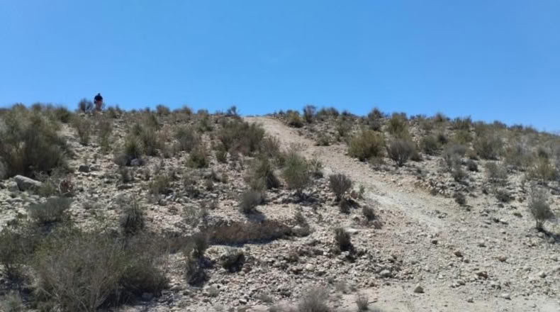 Murcia - Molina de Segura - 13416m2