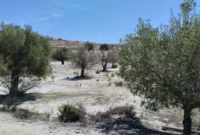Foto 9