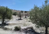 Terreno no urbanizable en venta en la España, Molina de Segura, ref: TR248178 foto