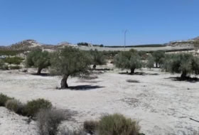 Foto 8