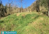 Terreny no urbanitzable en venda a la España, Pineda de Mar, ref.: TR115883 foto