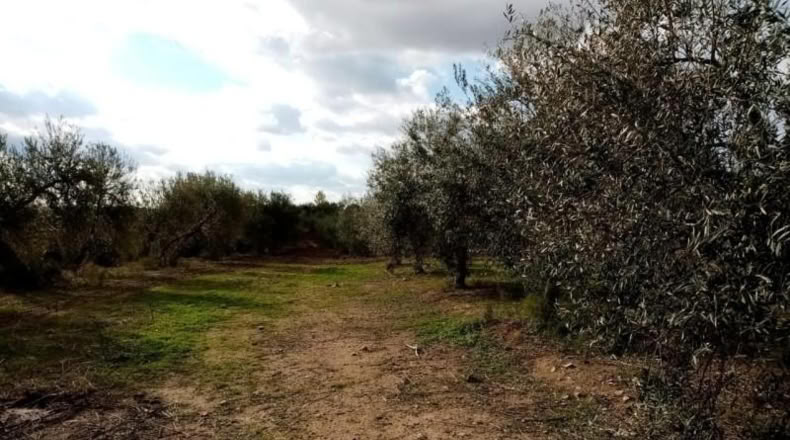 Sevilla - Arahal - 11m2
