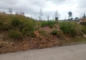 Sòl urbà en venda a la España, Rocafort, ref.: TR271643 foto