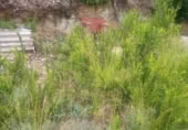 Sòl urbà en venda a la España, Rocafort, ref.: TR271643 foto