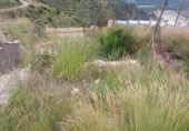 Sòl urbà en venda a la España, Rocafort, ref.: TR271643 foto