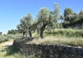 Chalet independiente con terreno en venta en la España, Cretas, ref: TR337481 foto
