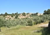 Chalet independiente con terreno en venta en la España, Cretas, ref: TR337481 foto