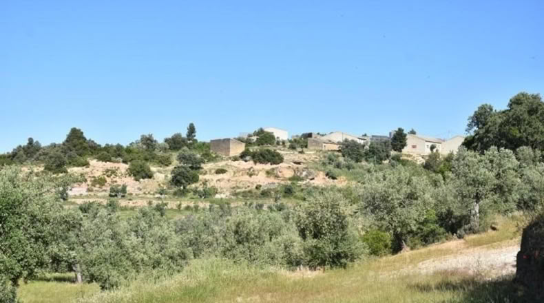 Teruel - Cretas - 27210m2