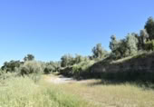 Chalet independiente con terreno en venta en la España, Cretas, ref: TR337481 foto