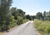 Chalet independiente con terreno en venta en la España, Cretas, ref: TR337481 foto