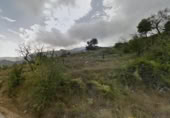 Non-developable land for sale on España, Confrides, ref: TR270138 photo