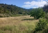 Detached villa with land for sale on España, Tivenys, ref: TR269543 photo
