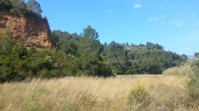 Tarragona - Tivenys - 7020m2