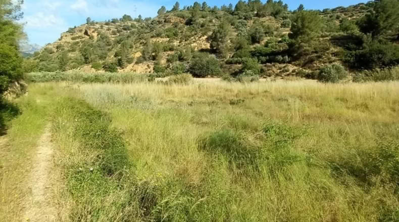 Tarragona - Tivenys - 7020m2