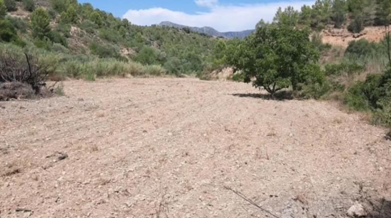 Tarragona - Tivenys - 7020m2