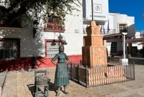 Foto 8